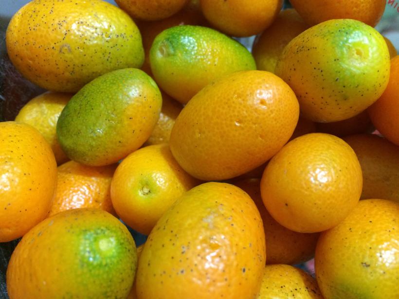 kumquat-a